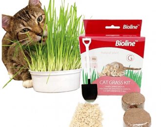 Bioline Cat Grass Kit