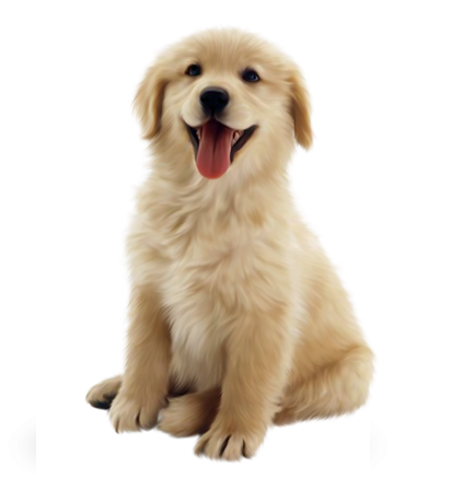 Puppy dog hot sale online shopping